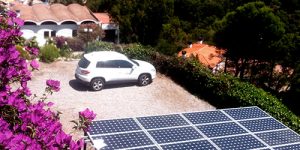 mas placas solares flores